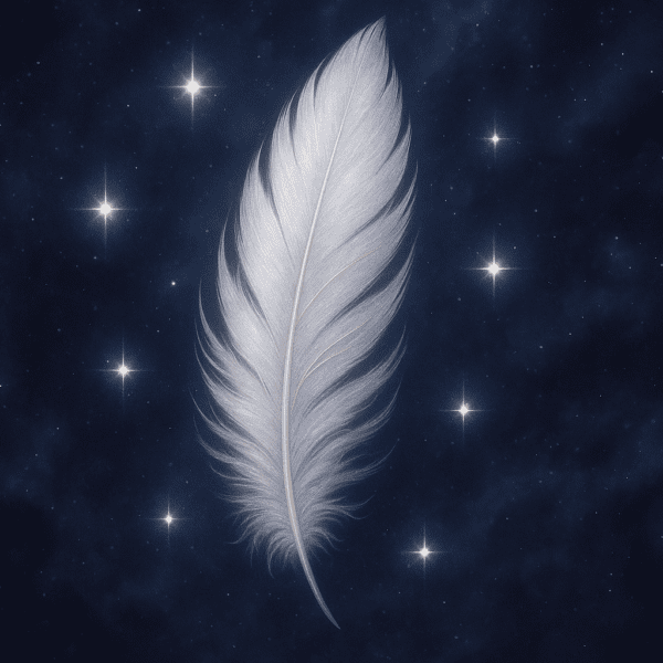 Meaning Of Angel Number 293 By Astro Numerical:&hellip;