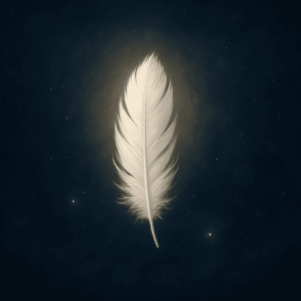 Meaning Of Angel Number 314 By Astro Numerical:&hellip;