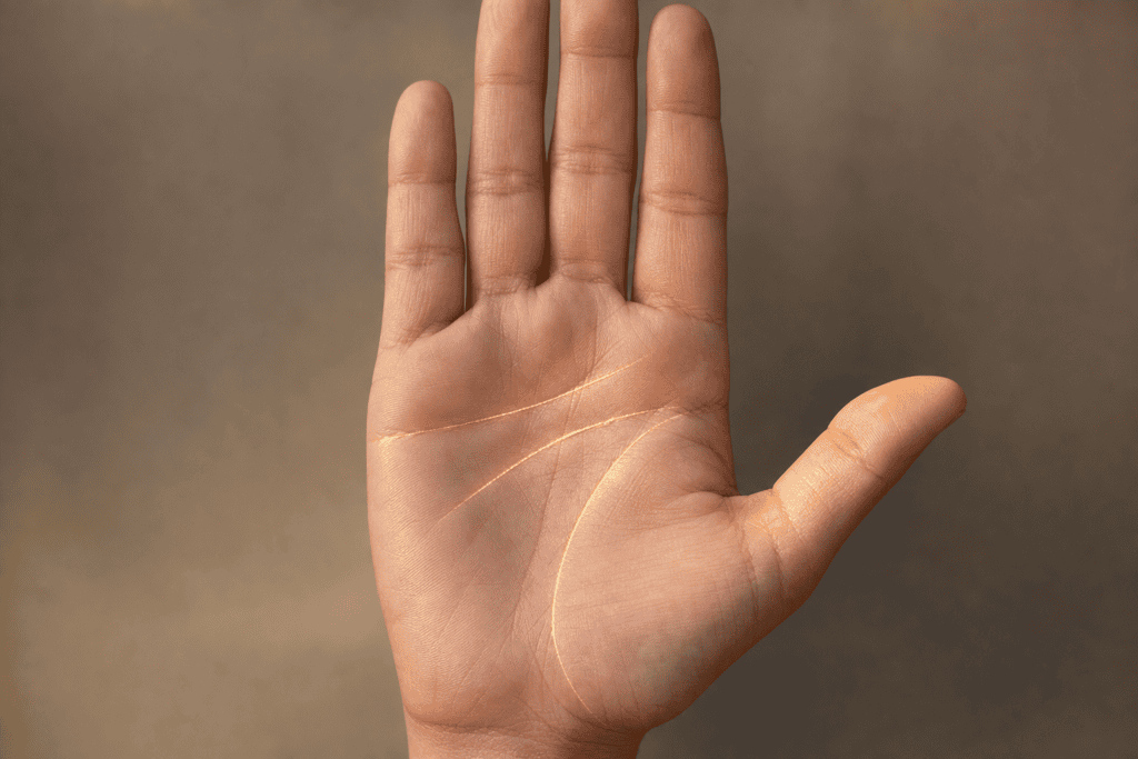 How To Tell Your Left Hand From Your Right In Palm Reading